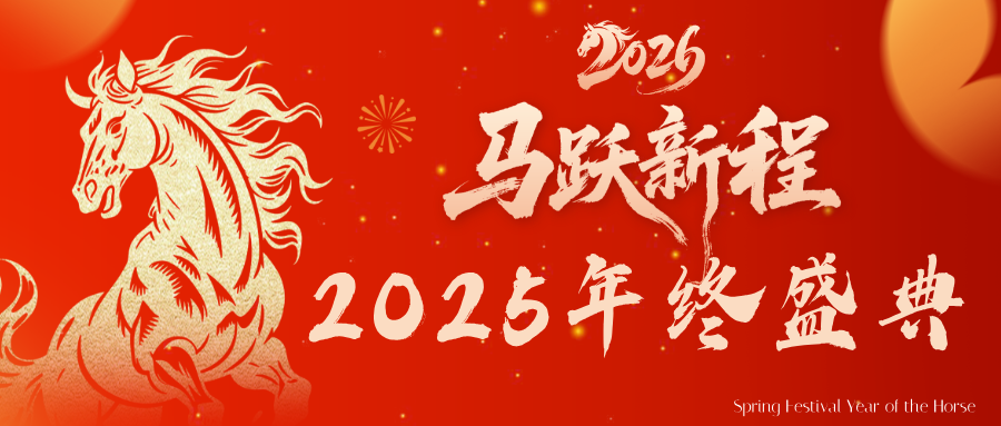 凝心聚力，载誉前行｜大财小账2025年度